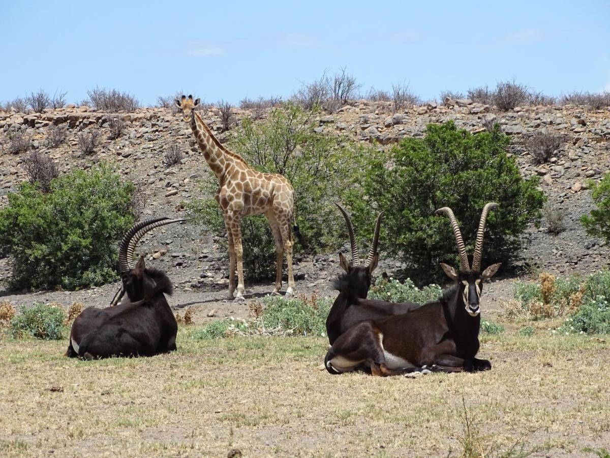 Teri-Lemveli Lodge Beaufort West Luaran gambar