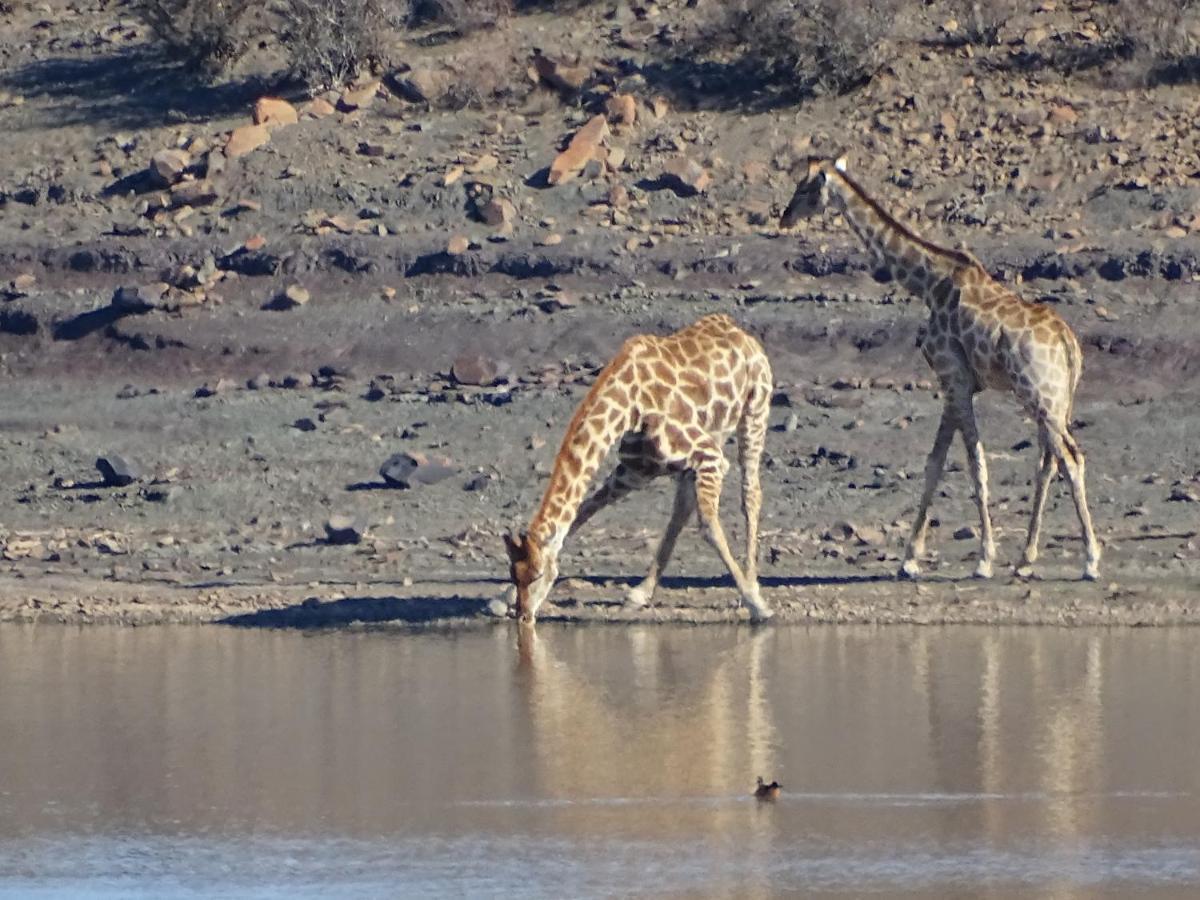 Teri-Lemveli Lodge Beaufort West Luaran gambar