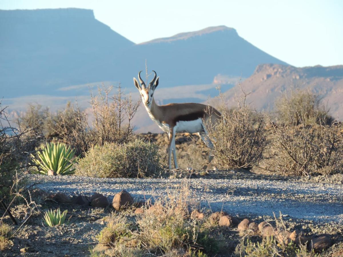 Teri-Lemveli Lodge Beaufort West Luaran gambar