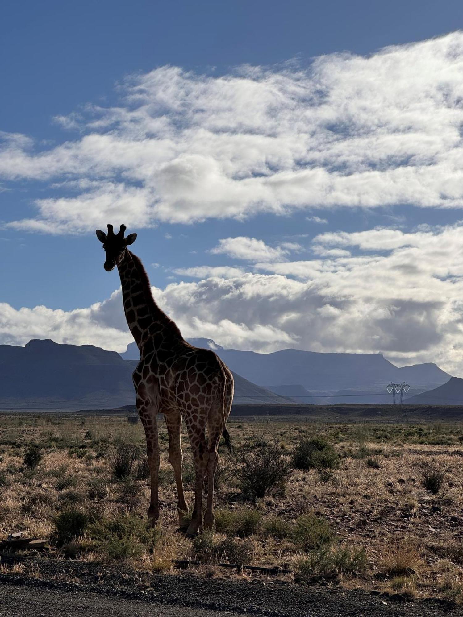 Teri-Lemveli Lodge Beaufort West Luaran gambar