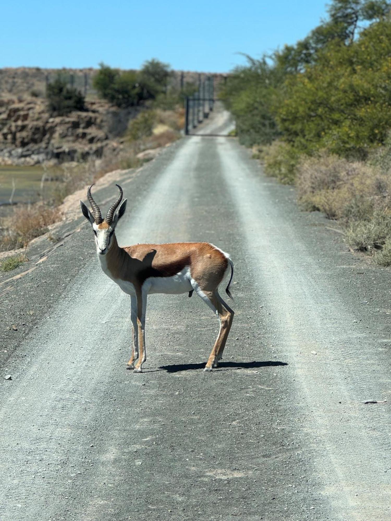 Teri-Lemveli Lodge Beaufort West Luaran gambar