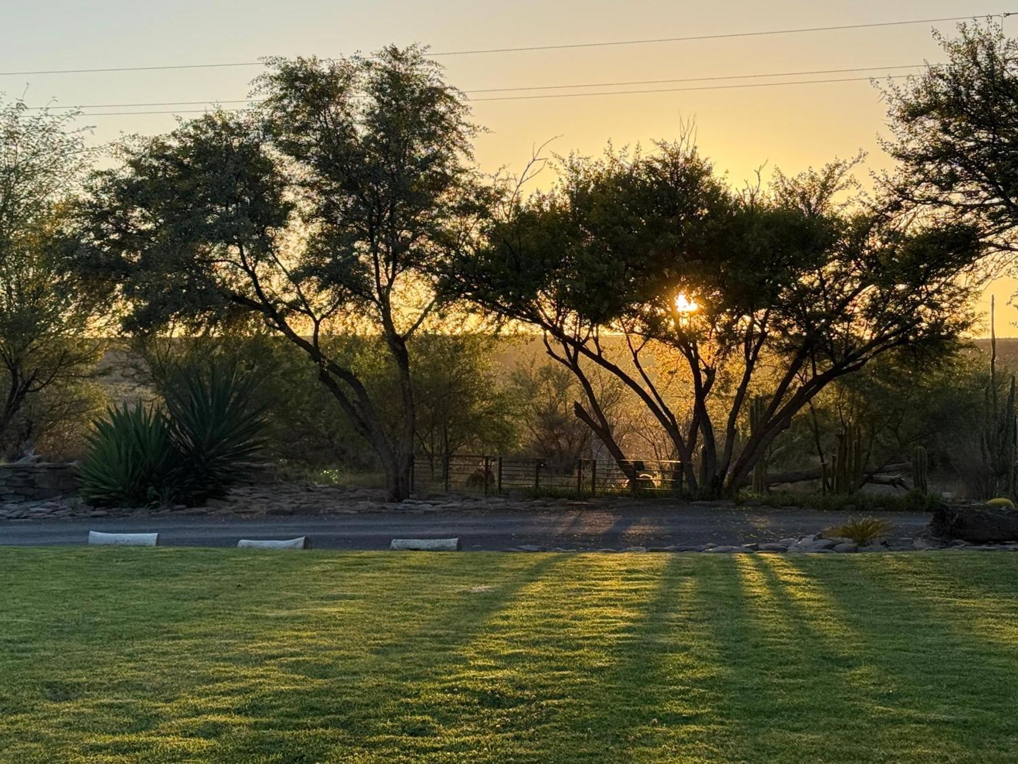 Teri-Lemveli Lodge Beaufort West Luaran gambar