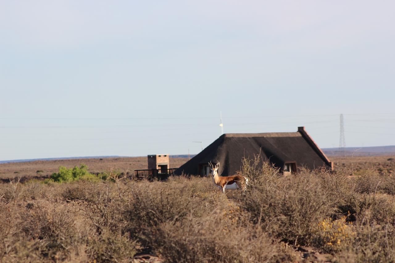 Teri-Lemveli Lodge Beaufort West Luaran gambar
