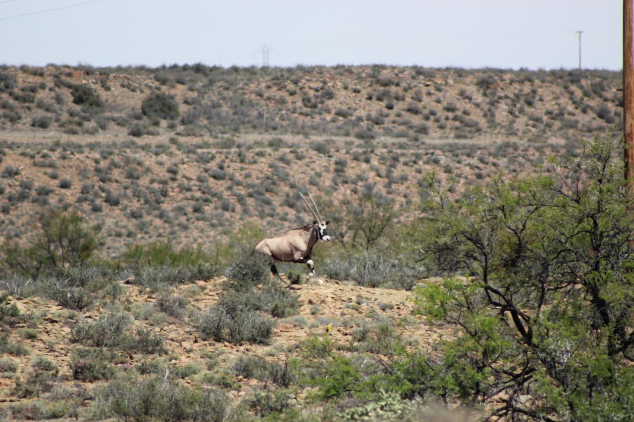 Teri-Lemveli Lodge Beaufort West Luaran gambar