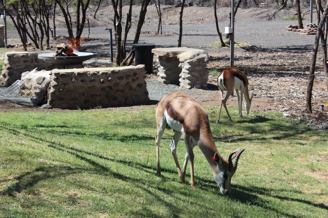 Teri-Lemveli Lodge Beaufort West Luaran gambar